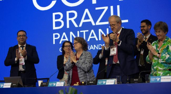 Thanks - CMS COP15 - 29Mar2026