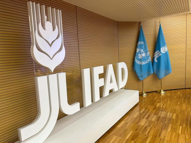 The workshop convened at IFAD headquarters