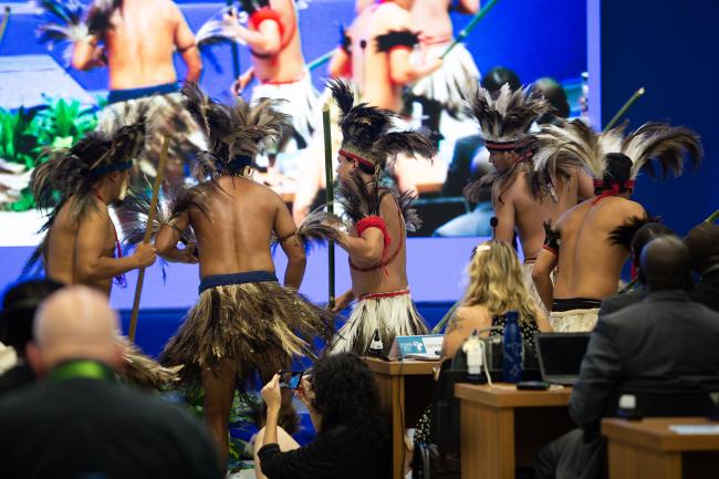 Tradicional Dance Performance - CMS COP15 - 23Mar2026