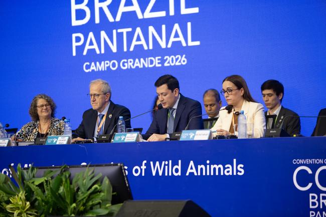 Plenary Dais