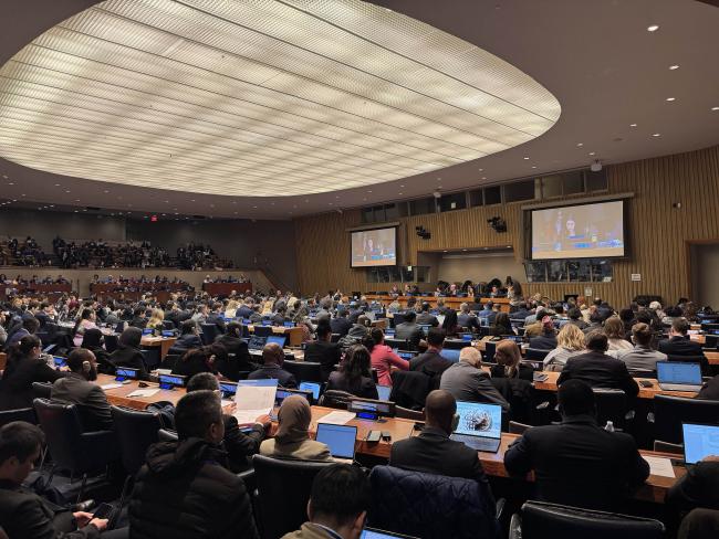 A view of room during the opening of the 3rd Session of the BBNJ PrepCom
