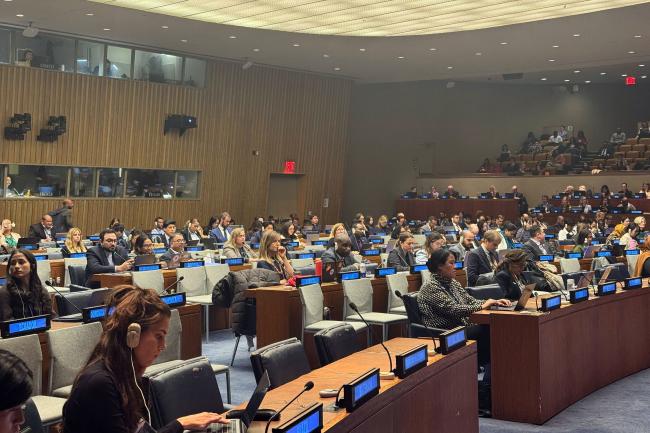 View of the room during a discussion of the Co-Chairs non-paper concerning the relationship between the BBNJ COP and UN