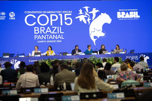 Mariana Rios, Uruguay - CMS COP15 - 28Mar2026