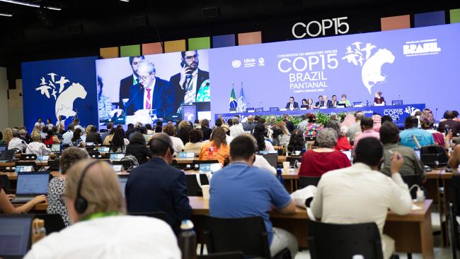 View of the room -  CMS COP15 - 29Mar2026