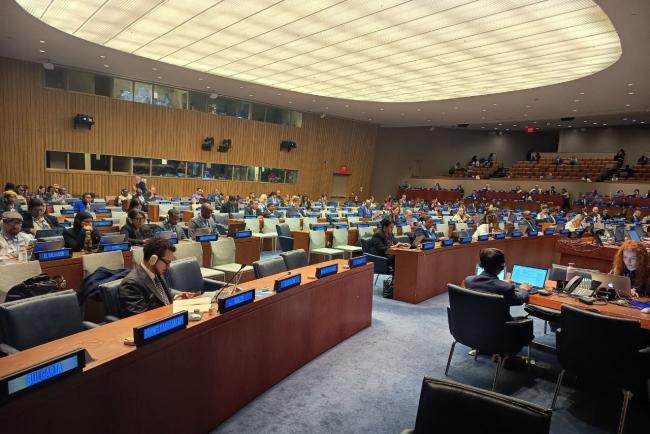 View of the room during the discussions on a draft MoU between the COP and GEF