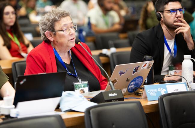 WCS- CMS COP15 - 24Mar2026