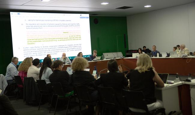 Workin Group - CMS COP15 - 25Mar2026