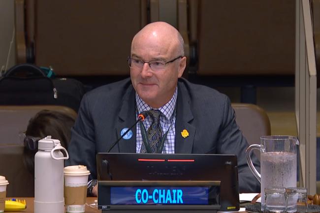 PrepCom Co-Chair Adam McCarthy, Australia