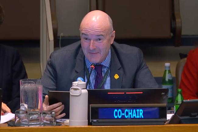 PrepCom Co-Chair Adam McCarthy, Australia