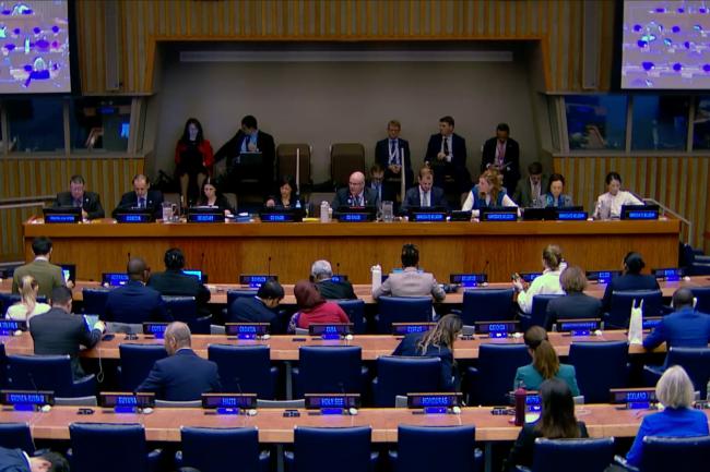 The dais during the presentation of Belgium on its offer to host the Secretariat