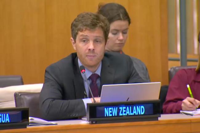 Representative from New Zealand