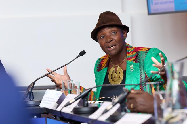Princess Abze Djigma, Chair, The Mutirão and Burkindi Coalition Capacity Building Initiative_ViennaEnergyForum_9April26