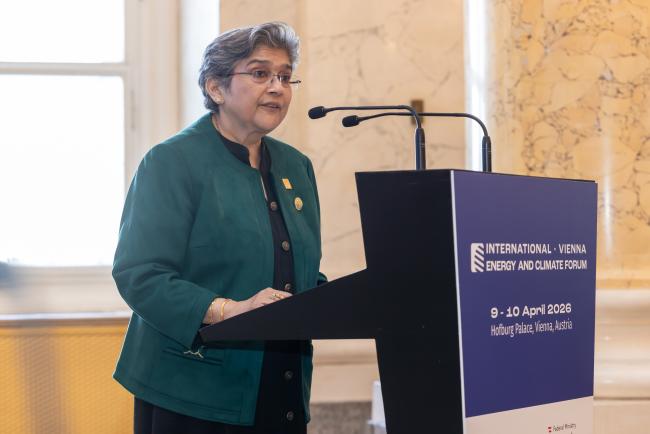 Rabab Fatima_ViennaEnergyForum_9April26