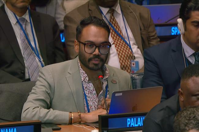 Saeed Hamid, Palau