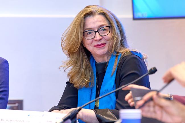 Selma Prodanovic, Chief Executive Officer and Founder, 1MillionStartups_ViennaEnergyForum_10April26