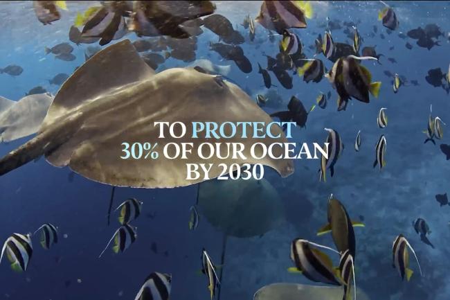 A slide from the presentation by Annelies Verlinden, Minister of Justice and the North Sea