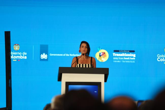 Irene Vélez Torres, Director, National Environmental Agency, Colombia