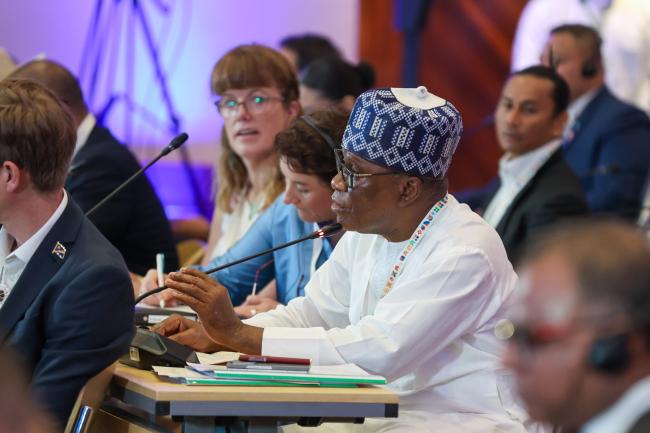 Abubakar Momoh, Minister of Niger Delta Development, Nigeria