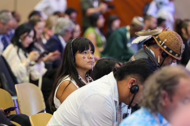 Plenary