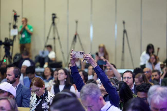 Plenary