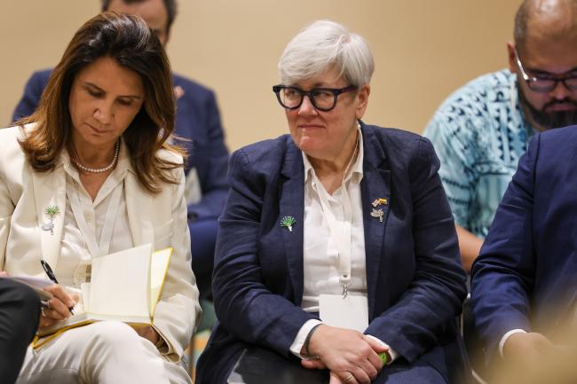 Rachel Kyte, Special Representative for Climate, UK
