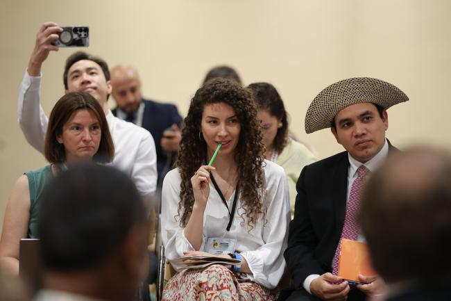 Joanna MacGregor, Un Framework Convention on Climate Change Secretariat