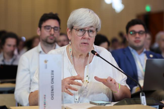 Rachel Kyte, Special Representative for Climate, UK