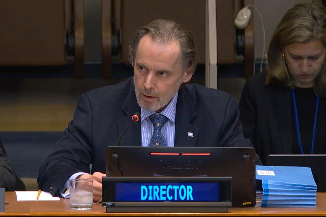 Vladimir Jares, Director, UNDOALOS