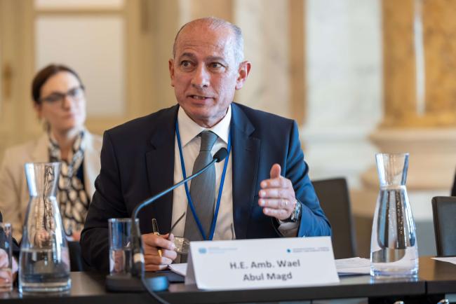Wael Aboulmagd, Assistant Foreign Minister for Climate, Environment and Sustainable Development Department, Egypt_ViennaEnergyForum_9April26