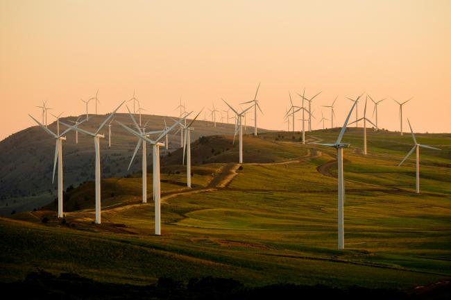 Windmills on green field under white sky during daytime