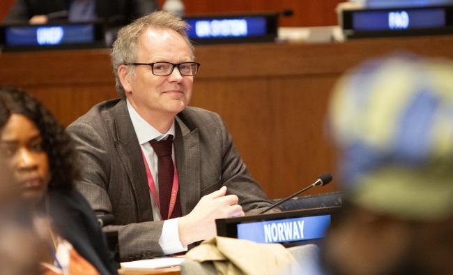 Incoming Vice Chair Harald Aalde, Norway- UNFF21 - 15May2026