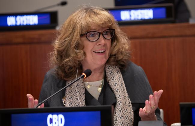 1 Astrid Schomaker, Executive Secretary, Convention on Biological Diversity - UNFF21 - 12May2026.