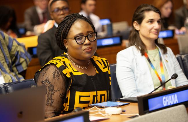 1 Upcoming Vice Chair Miriam Aba Arhin, Ghana - UNFF21 - 15May2026.jpg