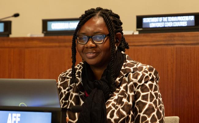 Adejoke Akinyele Representing Science and technology community of the MGoS - UNFF21 - 15May2026