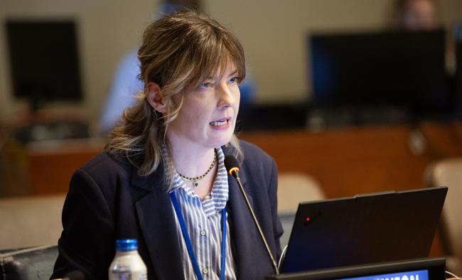 Anna Sidiropoulou, EU