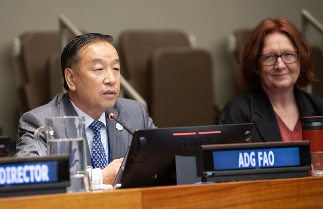 FAO - UNFF21 - 11May2026