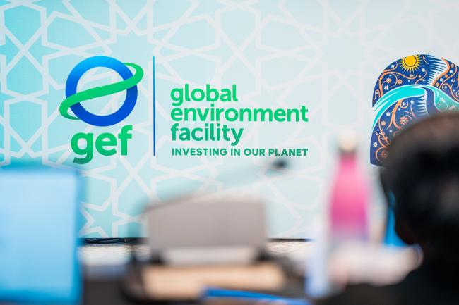 8th GEF Assembly