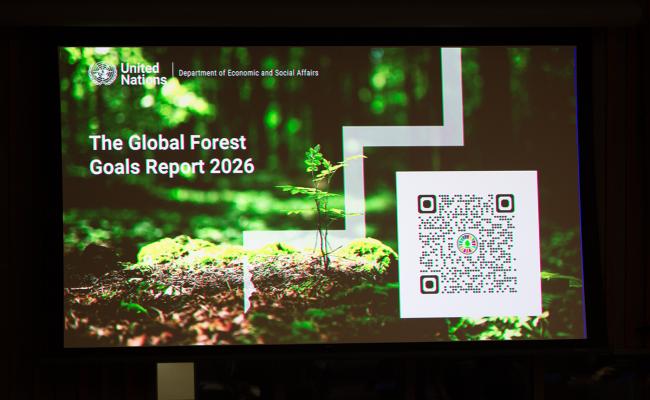Global Forest Report - UNFF21 - 11May2026