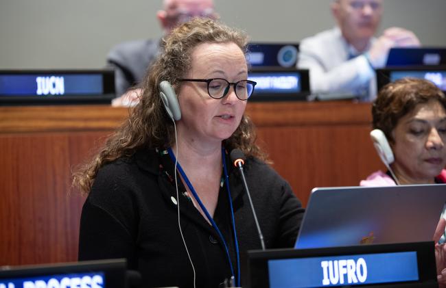IUFRO - UNFF21 - 12May2026