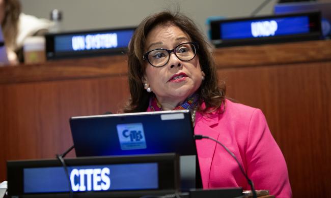 Ivonne Higuero, CITES Secretary-General - UNFF21 - 12May2026