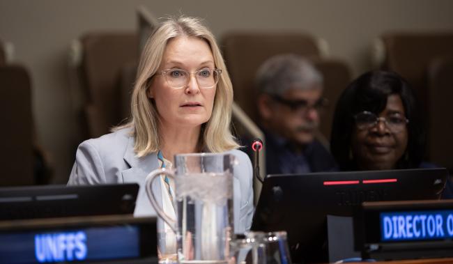Lotta Tähtinen, Sustainable Development at United Nations Department of Economic and Social Affairs - UNFF21 - 12May2026