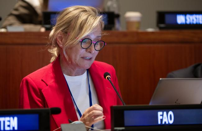 Malgorzata Margo Buszko Briggs, FAO - UNFF21 - 12May2026