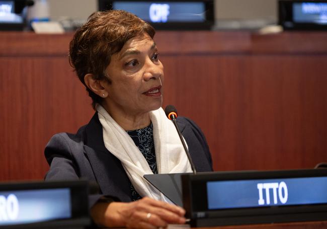 Sheam Satkuru, Executive Director, International Tropical Timber Organization - UNFF21 - 14May2026