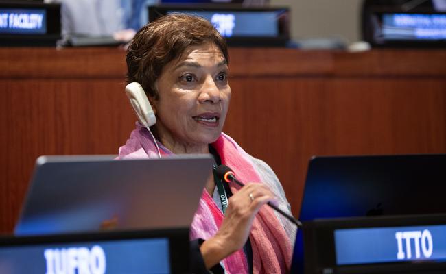 Sheam Satkuru, ITTO Executive Director - UNFF21 - 12May2026