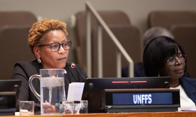 UNFF Secretariat Busget  - UNFF21 - 12May2026