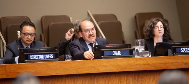UNFF21 Chair Ismail Belen, Türkiye - UNFF21 - 14May2026.jpg