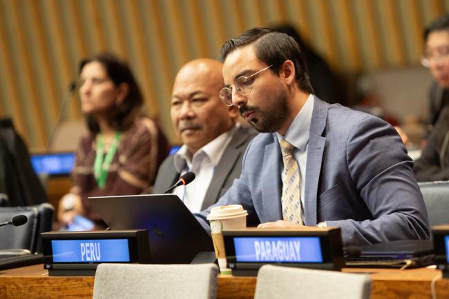 UNFF21 Vice Chair Andrés Napuri Pita, Peru- UNFF21 - 14May2026