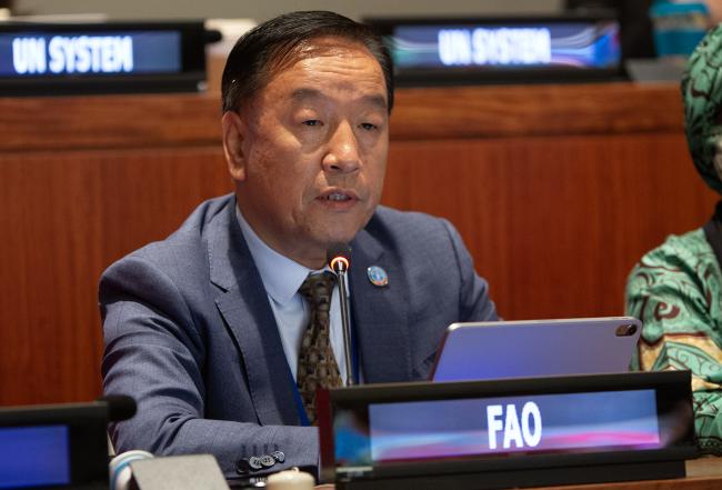 Wu Zhimin, Director, Forestry Division, FAO, and Chair, Collaborative Partnership on Forests - UNFF21 - 12May2026
