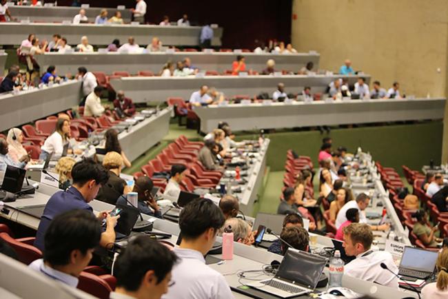  OEWG15 - 26 Jun2026