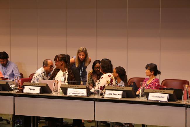 Secretariat and OEWG Chair Nicholas consult on the way forward on agenda items regarding plastics waste - OEWG15 - 26June 2026 